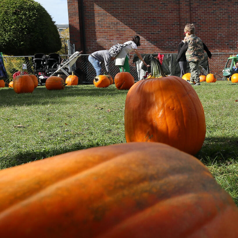 Pumpkins