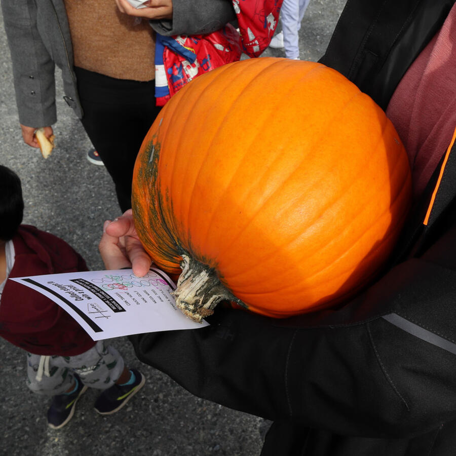 Holding on Pumpkin Holding on Pumpkin